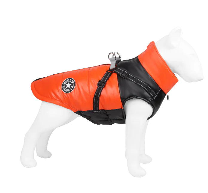 Pet Apparel and Accessories