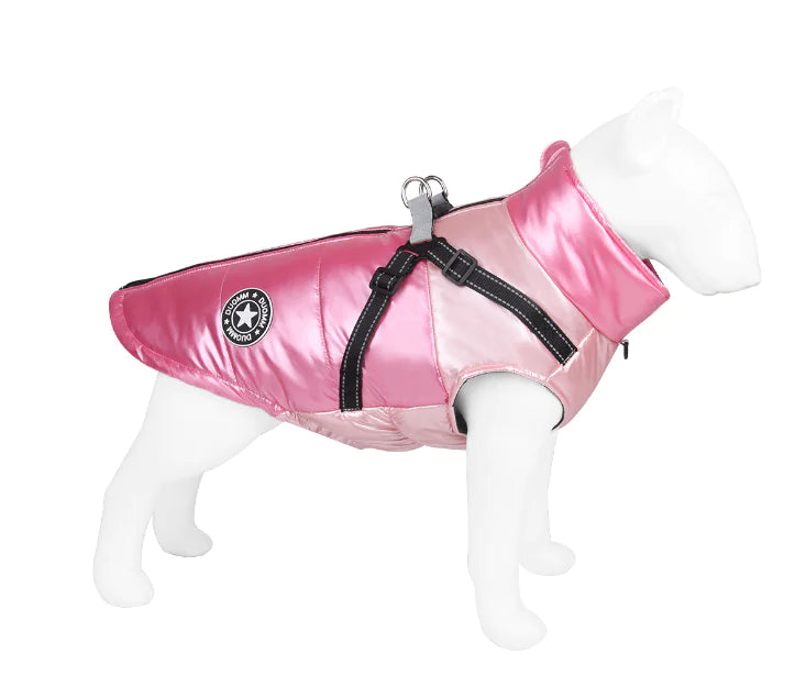 Pet Apparel and Accessories